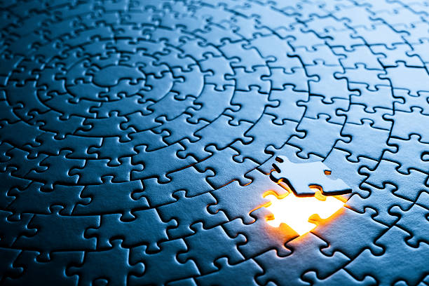 Fractional Integrator: The Missing Piece in Your Business Puzzle